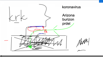 Screenshot_2021-02-17 Language Hub - Virtual Classroom [R 043].png